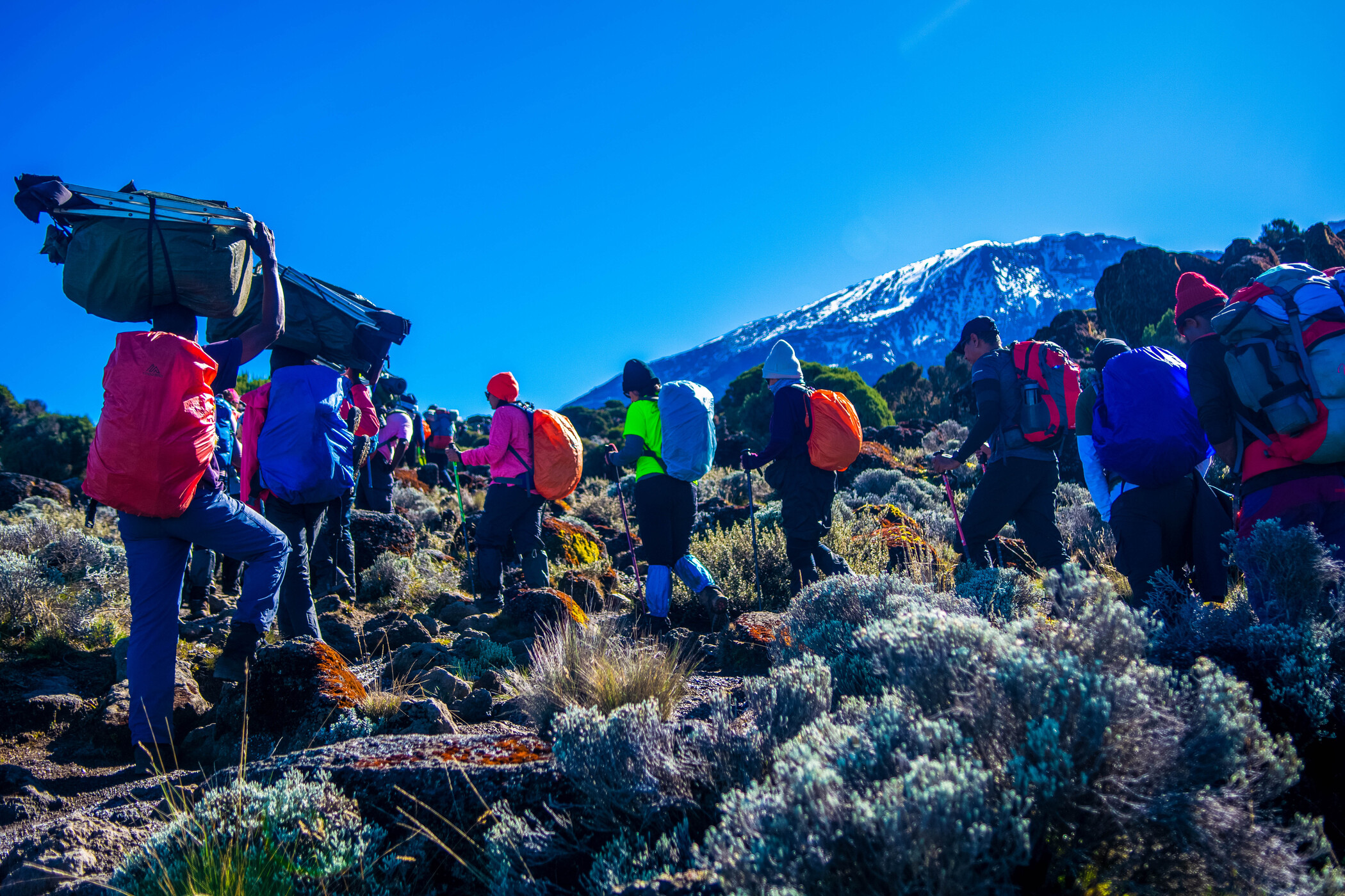9 days rongai route (6 Days Trek)