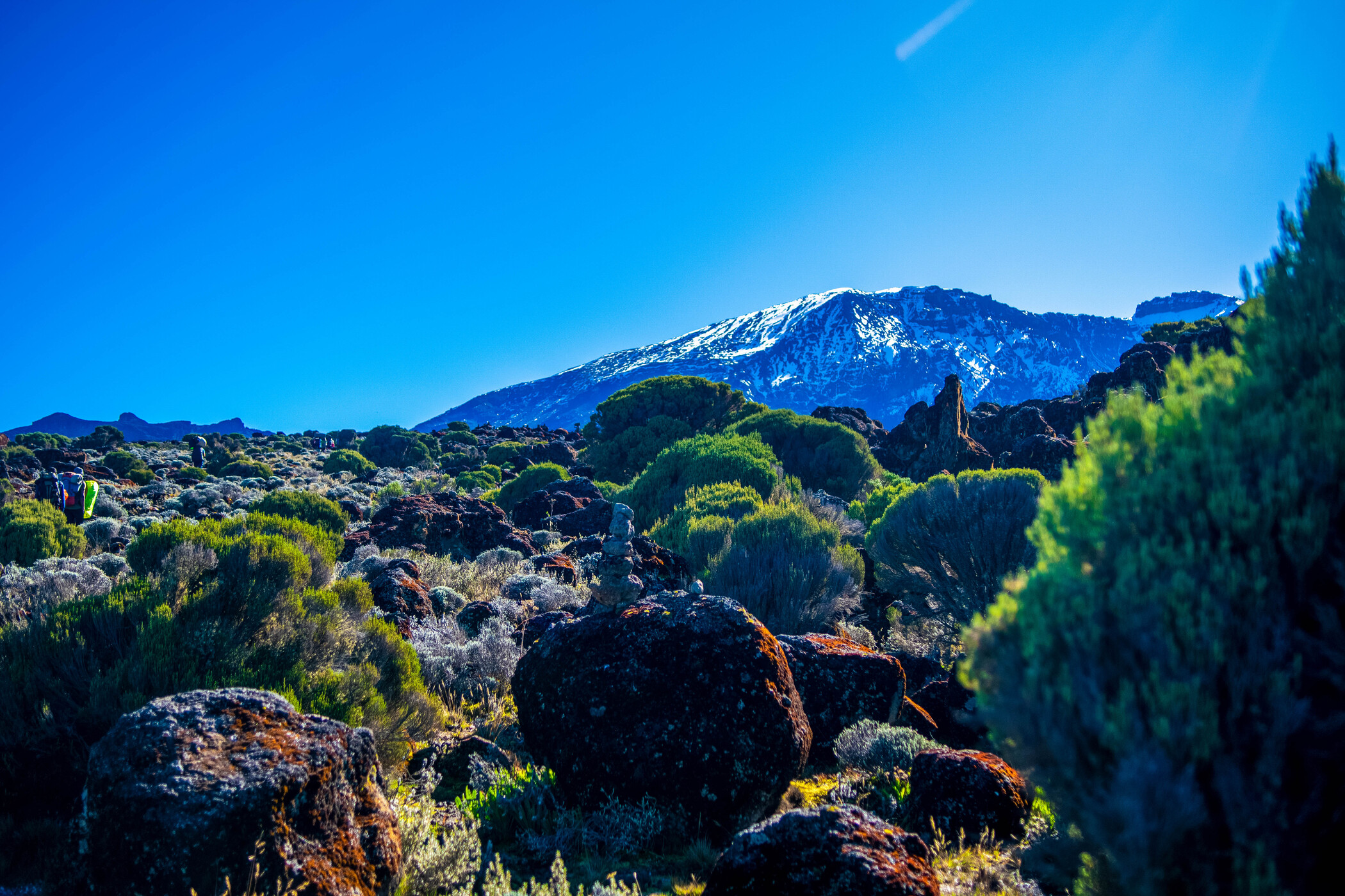 Kilimanjaro