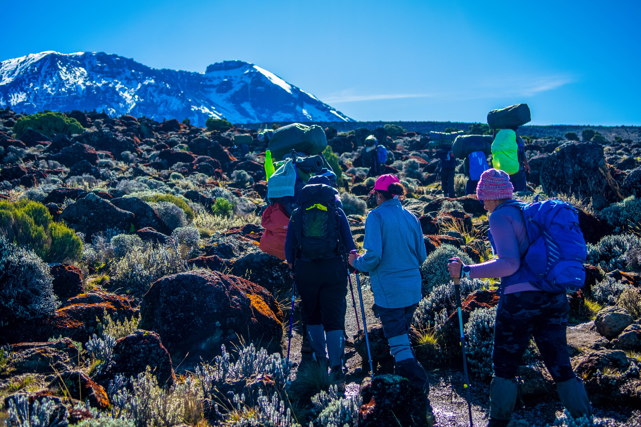 12 Days Machame Route & Zanzibar