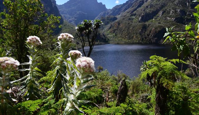 rwenzori mountains