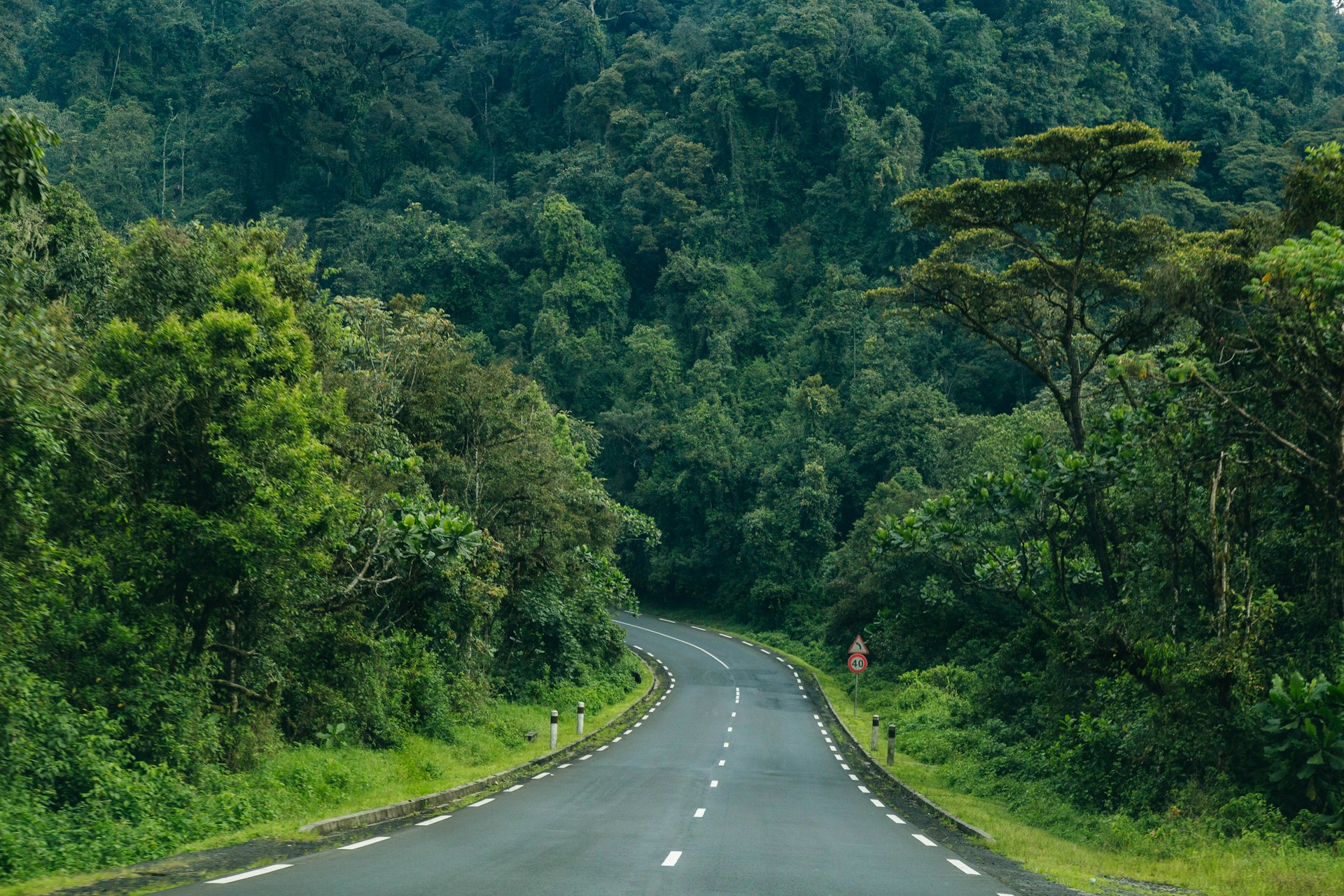 Nyungwe National Park