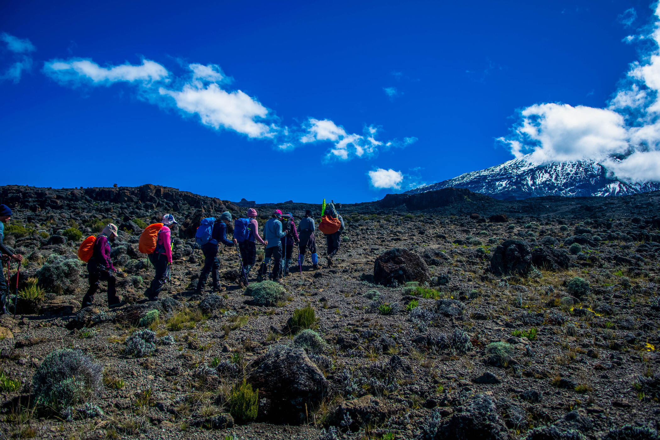 9 days machame route (6 Days Trek)